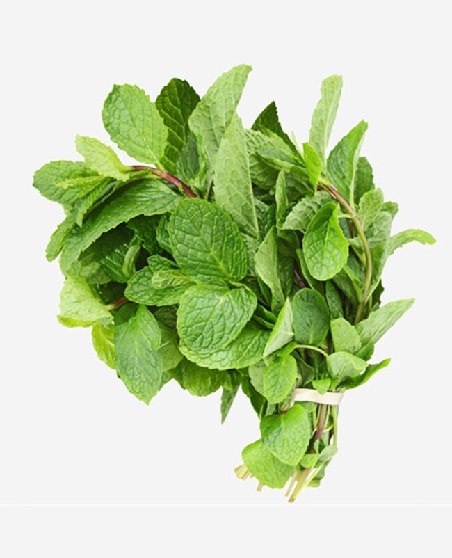 Cây dại mọc bờ rào thành đặc sản nổi tiếng giá 60.000 đồng/kg, trồng 2 tháng cho thu hoạch, tốt cho sức khỏe - 4