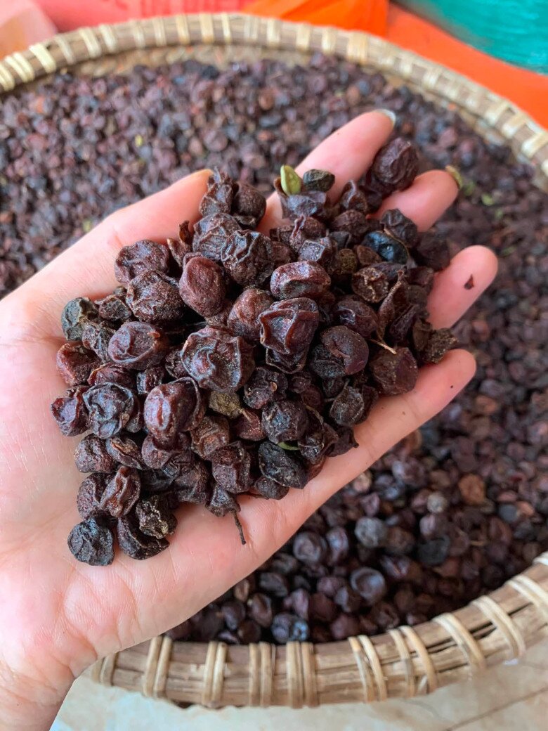 Loại quả mọc bờ rào xưa chín rụng đầy nay thành đặc sản 180.000 đ/kg, trồng một lần thu hoạch nhiều năm, du khách thích thú - 2