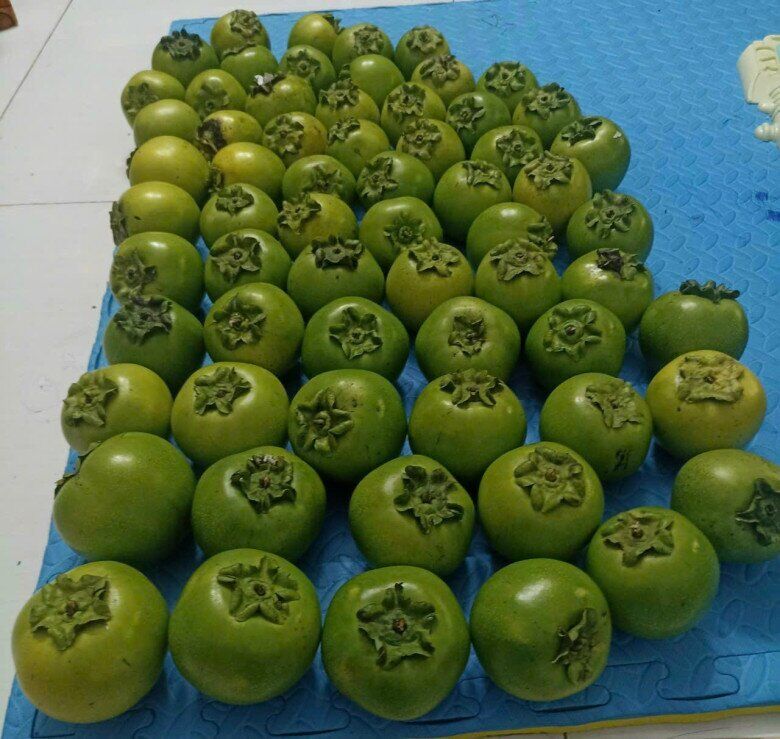 Loại quả xưa không ai biết đến, nay thành đặc sản được ưa chuộng giá 150.000 đ/kg, trồng một lần thu hoạch nhiều năm - 3