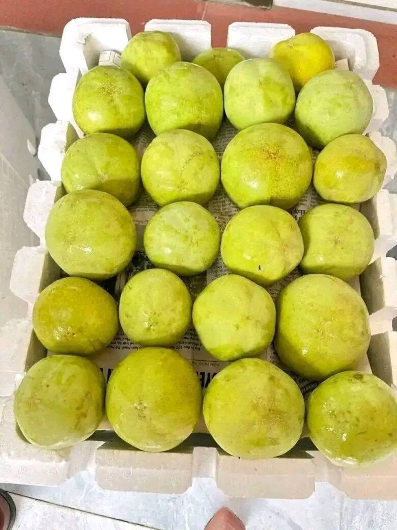 Loại quả xưa không ai biết đến, nay thành đặc sản ở thành phố giá 170.000 đ/kg, trồng một lần thu hoạch nhiều năm - 4