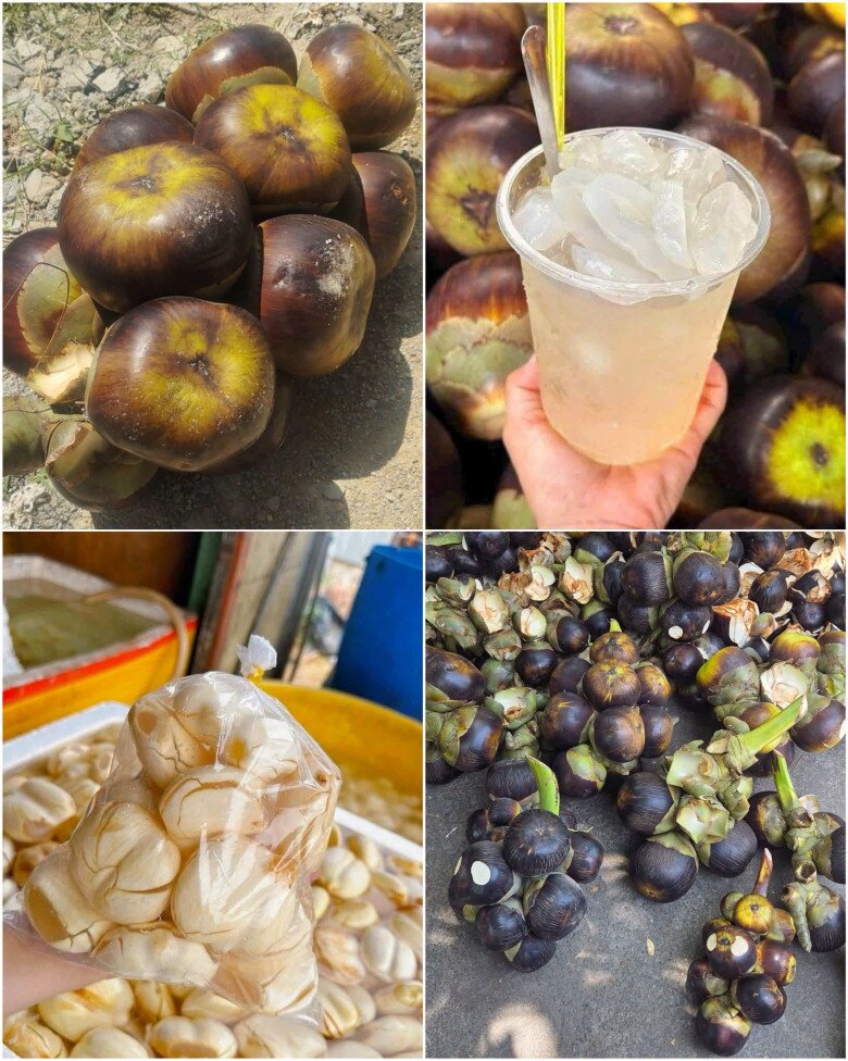 Loại quả xưa chín rụng đầy nay thành đặc sản 120.000 đ/kg, trồng một lần thu hoạch nhiều năm, du khách thích mê - 3