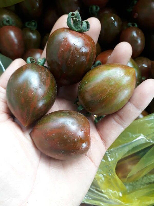Loại quả xưa không ai biết đến nay thành đặc sản giá 100.000 đ/kg, trồng một lần thu hoạch nhiều năm, tốt cho sức khỏe - 3
