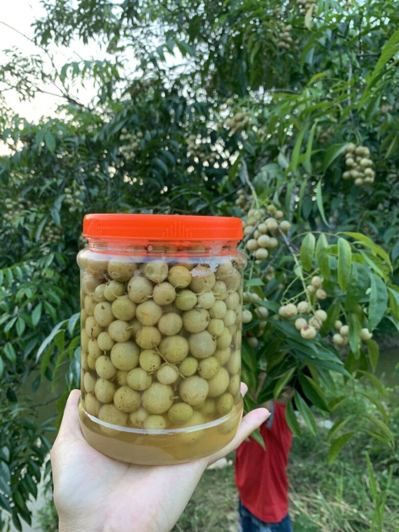 Loại quả mọc bờ rào xưa chín rụng đầy nay thành đặc sản 180.000 đ/kg, trồng một lần thu hoạch nhiều năm, du khách thích thú - 3
