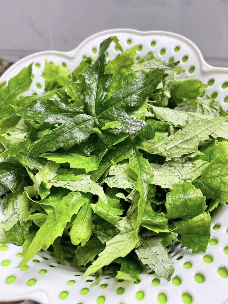 Đặc sản có tên amp;#34;ngượng đỏ mặtamp;#34;, xưa mọc bờ rào nay được ưa chuộng giá 50.000 đ/kg, trồng một lần thu hoạch nhiều năm - 3