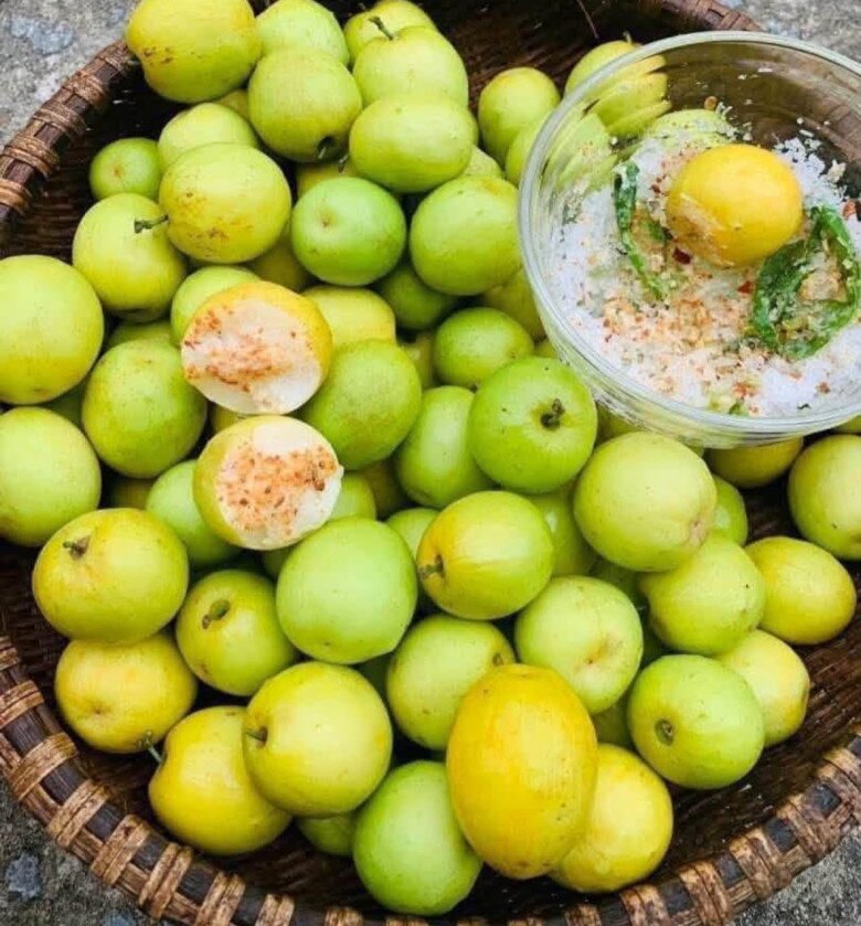 Loại quả mọc bờ rào xưa chín rụng đầy, nay thành đặc sản ở thành phố giá 70.000 đ/kg, trồng một lần thu hoạch nhiều năm - 2