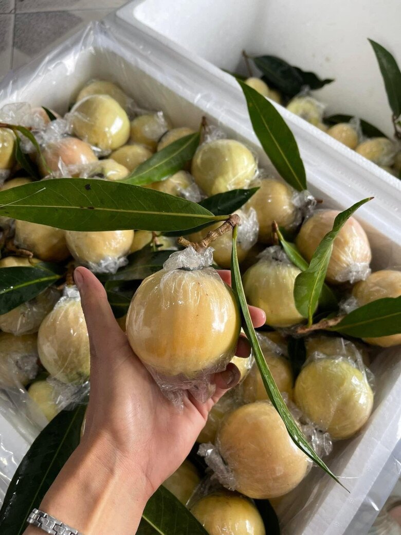 Loại quả xưa chín rụng đầy nay thành đặc sản giá 180.000 đ/kg, trồng một lần thu hoạch nhiều năm, du khách săn lùng - 4