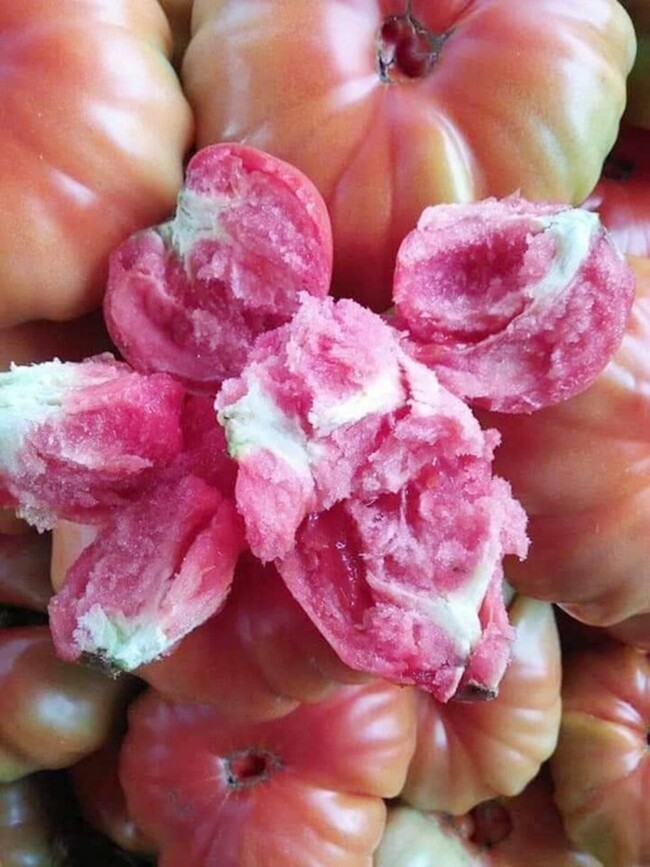 Loại quả xưa chín rụng đầy gốc, nay thành đặc sản ở thành phố giá 75.000 đ/kg, trồng 3 tháng cho thu hoạch - 3
