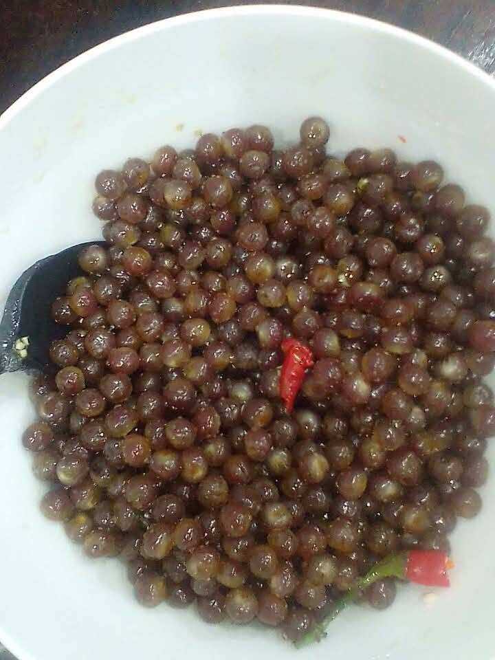 Loại quả xưa chín rụng đầy gốc nay thành đặc sản 70.000 đ/kg, trồng một lần thu hoạch nhiều năm, người thành phố ưa chuộng - 4