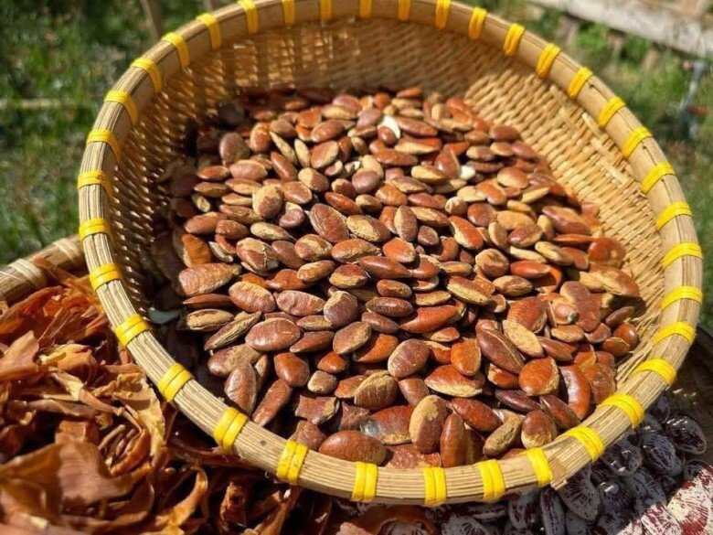Loại quả xưa chín rụng đầy nay thành đặc sản 150.000 đ/kg, trồng một lần thu hoạch nhiều năm, du khách thích thú - 2