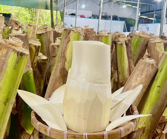 Món xưa amp;#34;nhà nghèoamp;#34; ăn đến chán ngán, nay thành đặc sản người thành phố ưa chuộng giá 80.000 đ/kg, tốt cho sức khoẻ - 1