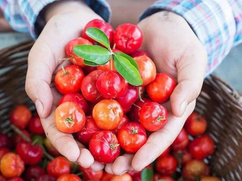 Loại quả xưa chín rụng đầy nay thành đặc sản giá 80.000 đ/kg, trồng một lần thu hoạch nhiều năm, tốt cho sức khỏe - 4