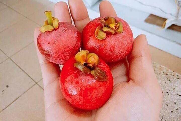 Loại quả xưa chín rụng đầy nay thành đặc sản giá 65.000 đ/kg, trồng một lần thu hoạch nhiều năm, người thành phố thích mê - 3