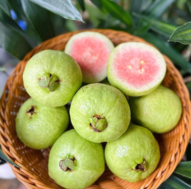 Loại quả mọc bờ rào xưa chín rụng đầy nay thành đặc sản 70.000 đ/kg, trồng một lần thu hoạch nhiều năm, người thành phố ưa chuộng - 4
