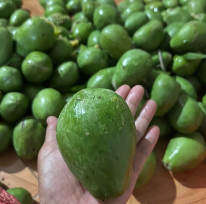 Loại quả xưa không ai biết đến, nay thành đặc sản ở thành phố giá 170.000 đ/kg, trồng một lần thu hoạch nhiều năm - 2