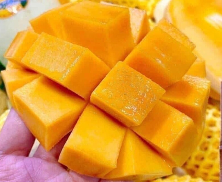 Loại quả xưa chín rụng đầy, nay thành đặc sản được ưa chuộng giá 90.000 đ/kg, trồng một lần thu hoạch nhiều năm - 4