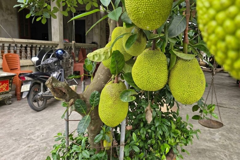 Món xưa amp;#34;nhà nghèoamp;#34; ăn đến chán ngán, nay thành đặc sản nổi tiếng khắp nơi giá 50.000 đ/kg, người thành phố ưa chuộng - 4