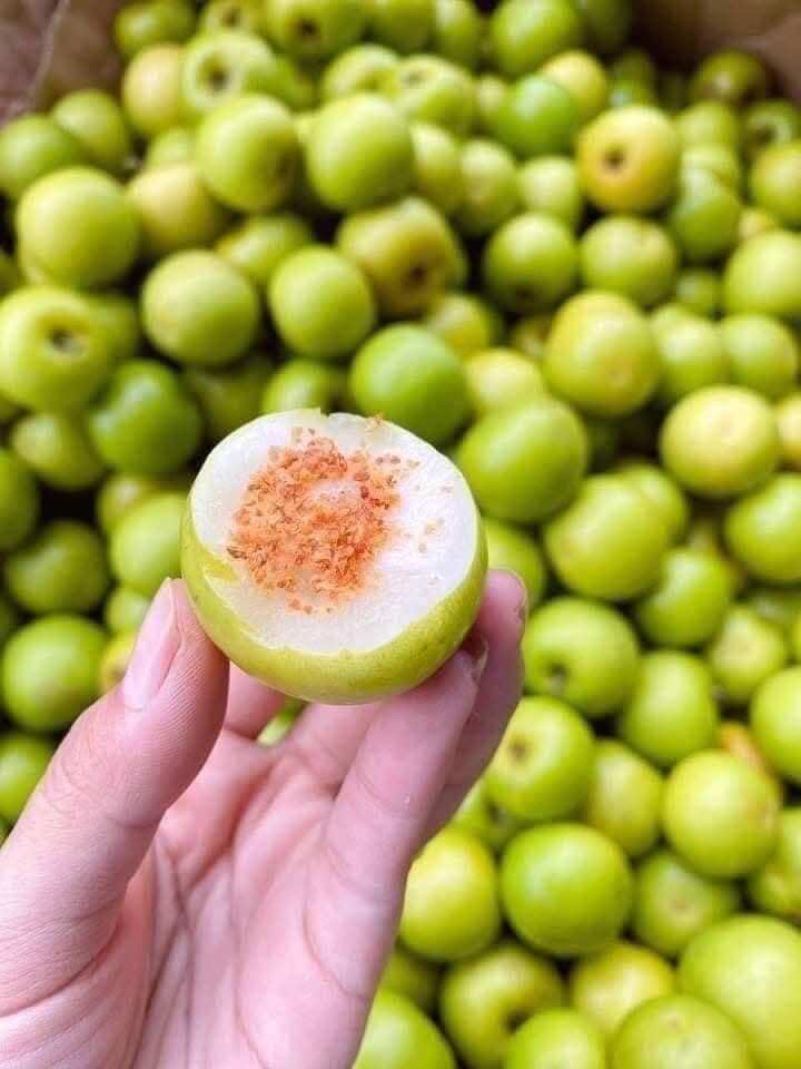 Loại quả mọc bờ rào xưa chín rụng đầy nay thành đặc sản 70.000 đ/kg, trồng một lần thu hoạch nhiều năm, được ưa chuộng ở thành phố - 3