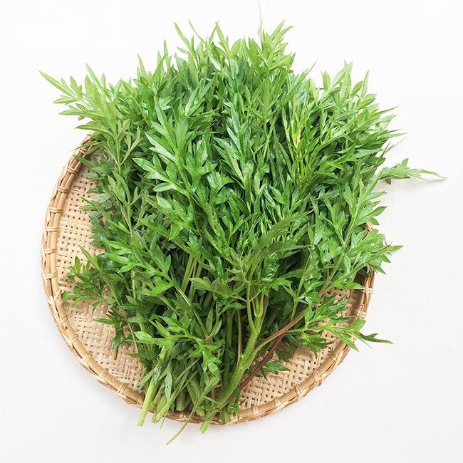 Đặc sản có tên amp;#34;ngượng đỏ mặtamp;#34;, xưa mọc bờ rào nay được ưa chuộng giá 50.000 đ/kg, trồng một lần thu hoạch nhiều năm - 3