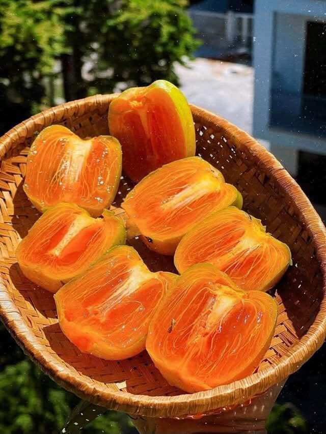 Loại quả xưa chín rụng đầy gốc nay thành đặc sản 140.000 đ/kg, trồng một lần thu hoạch nhiều năm, người thành phố ưa chuộng - 3