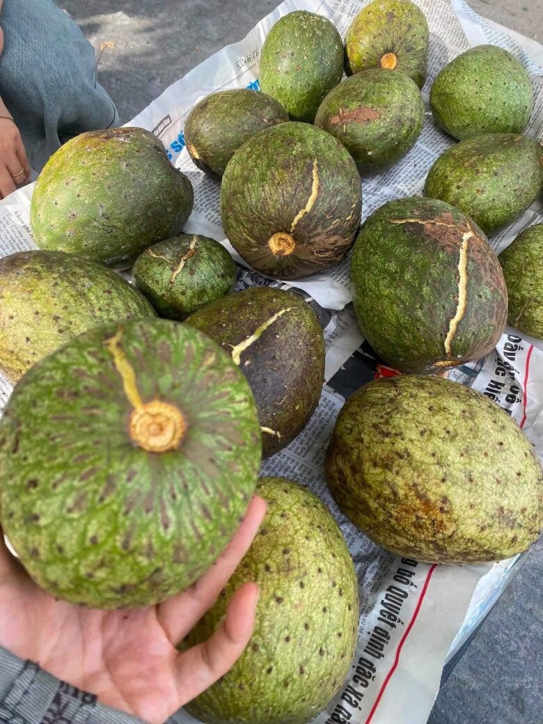 Loại quả mọc bờ rào xưa chín rụng đầy gốc nay thành đặc sản 55.000 đ/kg, trồng một lần thu hoạch nhiều năm, người thành phố ưa chuộng - 2