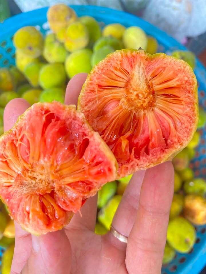 Loại quả mọc bờ rào xưa chín rụng chỉ dành cho amp;#34;người nghèoamp;#34;, nay thành đặc sản giá 200.000 đ/kg, trồng một lần thu hoạch nhiều năm - 2