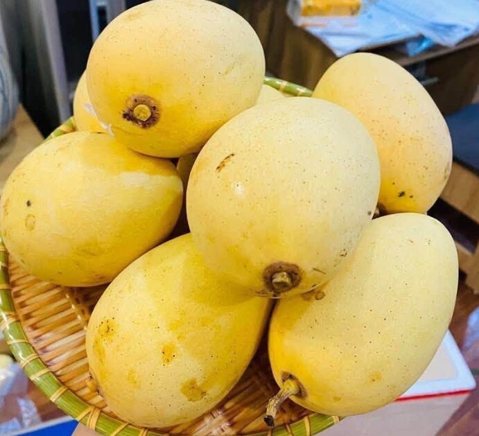 Loại quả xưa chín rụng đầy, nay thành đặc sản được ưa chuộng giá 90.000 đ/kg, trồng một lần thu hoạch nhiều năm - 5