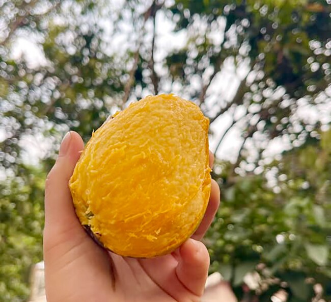 Loại quả xưa chín rụng đầy gốc nay thành đặc sản 45.000 đ/kg, trồng một lần thu hoạch nhiều năm, người thành phố ưa chuộng - 3