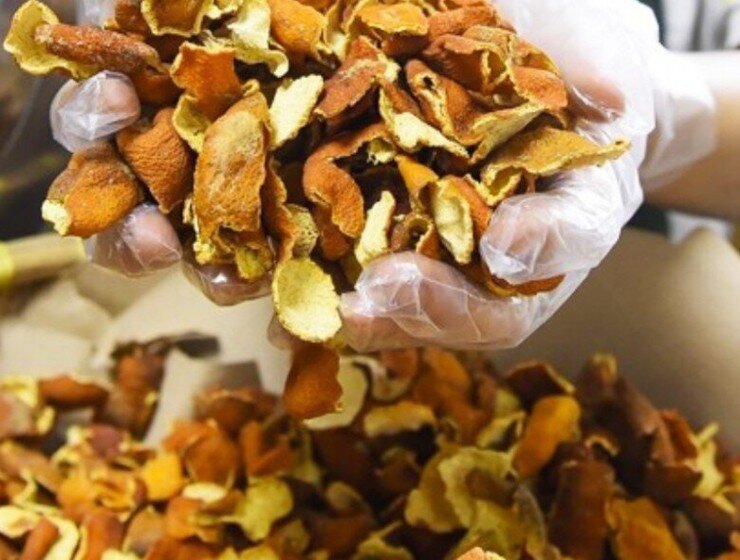 Loại quả xưa chín rụng đầy gốc, nay thành đặc sản ở thành phố giá 40.000 đ/kg, trồng một lần thu hoạch nhiều năm - 3