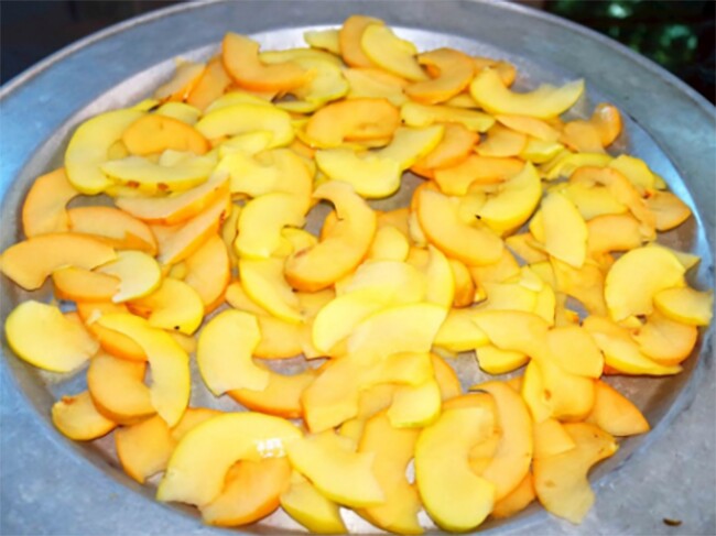 Loại quả mọc bờ rào xưa chín rụng đầy, nay thành đặc sản ở thành phố giá 100.000 đ/kg, trồng một lần thu hoạch nhiều năm - 3