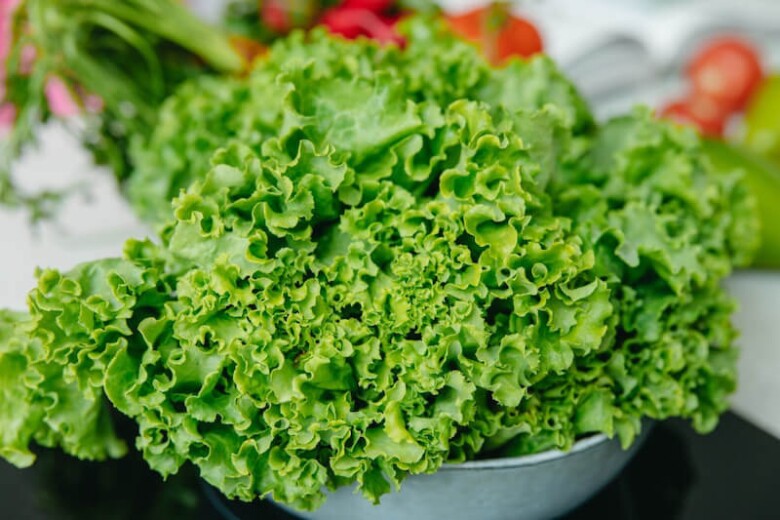 Loại rau tốt trên thế giới được trồng bạt ngàn ở Việt Nam, chỉ 30 ngày cho thu hoạch bán chỉ 20.000 đ/kg, tốt cho sức khỏe - 2