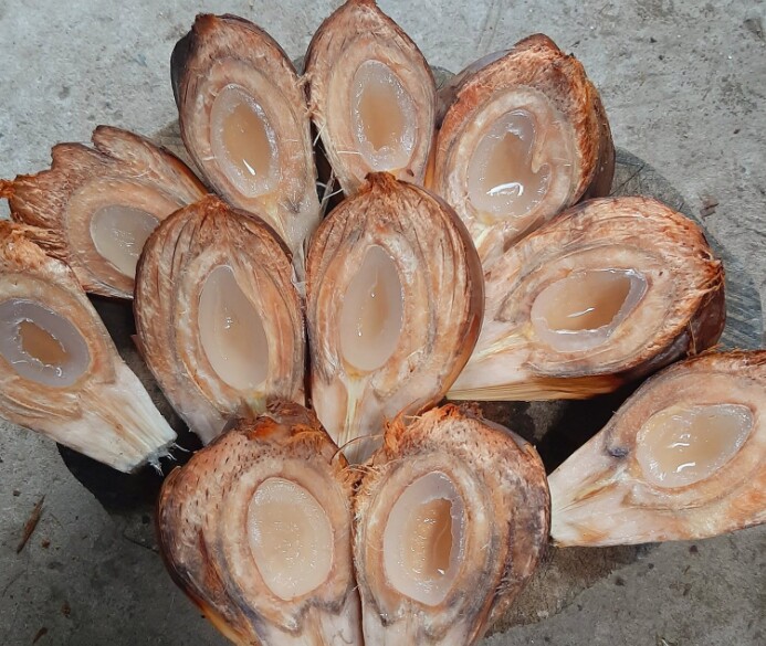 Loại quả xưa chín rụng đầy nay thành đặc sản giá 200.000 đ/kg, trồng một lần thu hoạch nhiều năm, tốt cho sức khỏe - 2