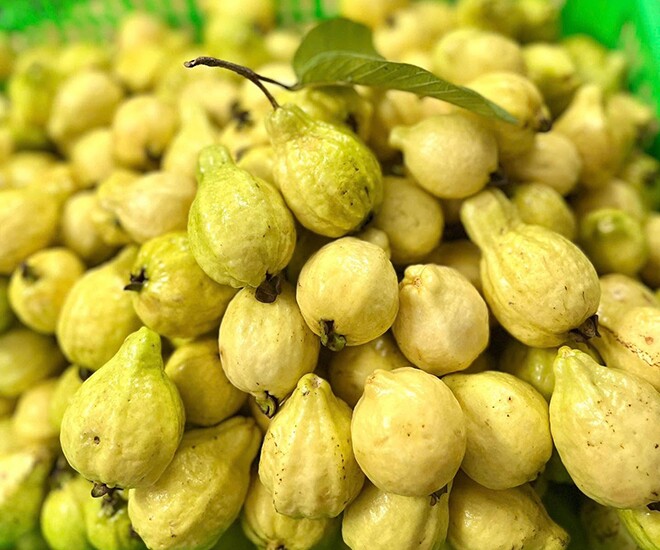 Loại quả mọc bờ rào xưa chín rụng đầy, nay thành đặc sản được ưa chuộng giá 60.000 đ/kg, trồng một lần thu hoạch nhiều năm - 1