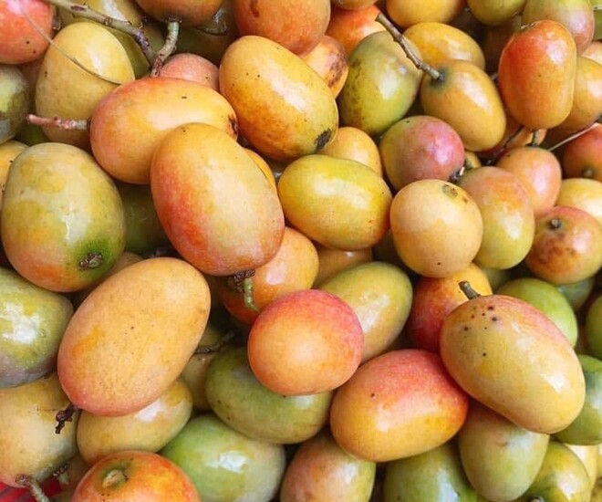 Loại quả đặc sản Sơn La xưa chín rụng đầy nay bán 75.000 đ/kg, trồng một lần thu hoạch nhiều năm, hương vị đặc biệt - 1