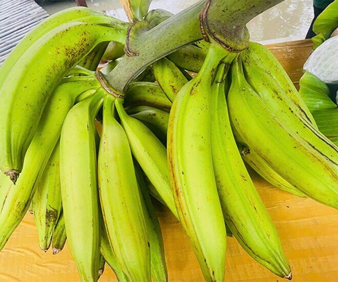Loại quả lọt top tốt trên thế giới chỉ có ở Vĩnh Long, là đặc sản nổi tiếng giá 50.000 đ/kg, trồng 8 tháng cho thu hoạch - 1