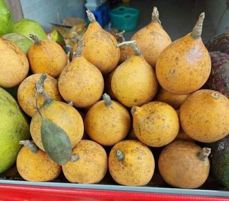 Loại quả xưa chín rụng đầy gốc nay thành đặc sản 85.000 đ/kg, trồng một lần thu hoạch nhiều năm, người thành phố ưa chuộng - 2