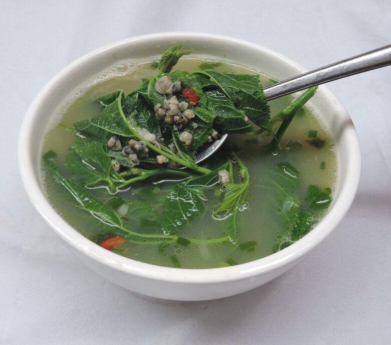 Cây mọc bờ rào tưởng chỉ ăn được quả, không ngờ lá là đặc sản nổi tiếng có hương vị lạ, tốt cho sức khỏe - 2