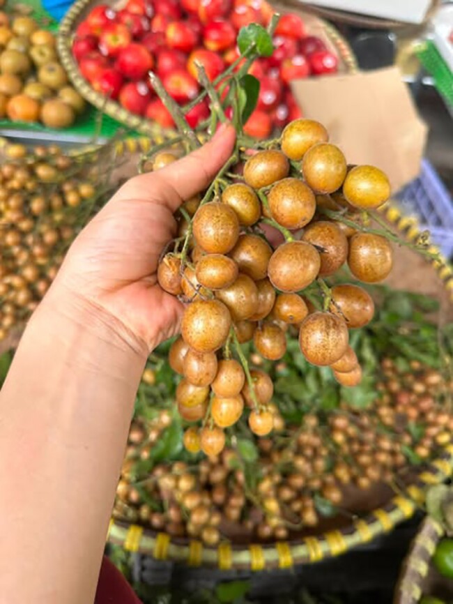 Quất hồng bì chính vụ ăn thường ngon, ngọt hơn. Ảnh HM