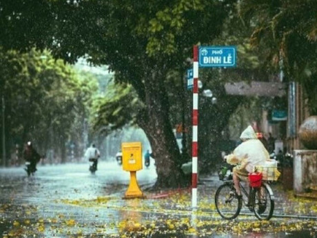 Miền Bắc sắp đón "mưa vàng" giải nhiệt