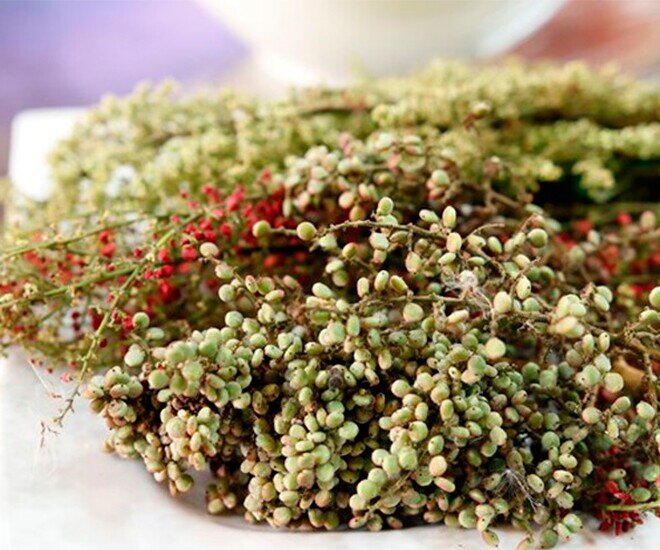Loại quả xưa chín rụng đầy, nay thành đặc sản ở thành phố giá 300.000 đ/kg, trồng một lần thu hoạch nhiều năm - 1