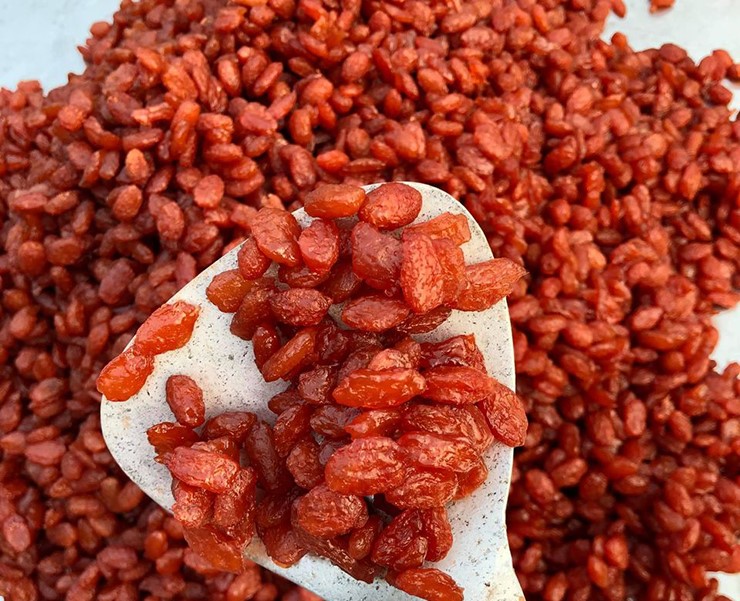 Loại quả xưa chín rụng đầy nay thành đặc sản giá 160.000 đ/kg, trồng một lần thu hoạch nhiều năm, tốt cho sức khỏe - 3