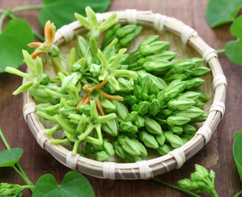 Cây dại mọc bờ rào thành đặc sản nổi tiếng giá 80.000 đồng/kg, trồng 2 tháng cho thu hoạch, tốt cho sức khỏe - 2