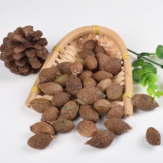 Loại quả xưa chín rụng đầy nay thành đặc sản nổi tiếng giá 350.000 đ/kg, trồng một lần thu hoạch nhiều năm, tốt cho sức khỏe - 2