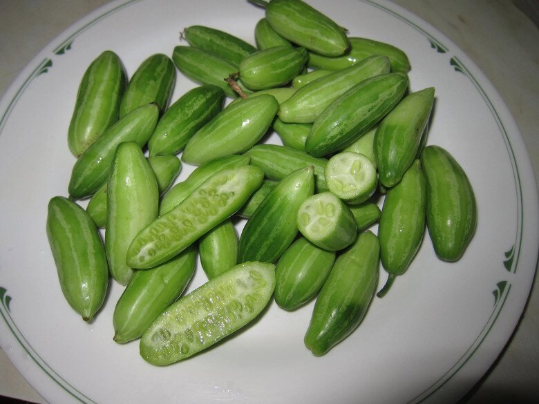 Loại quả mọc bờ rào xưa chín rụng đầy nay thành đặc sản 50.000 đ/kg, trồng một lần thu hoạch nhiều năm, người thành phố ưa chuộng - 2