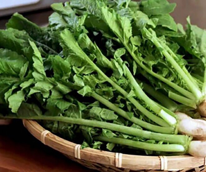 Loại rau tốt trên thế giới, Việt Nam trồng bạt ngàn chỉ 30 ngày cho thu hoạch bán giá rẻ bèo, tốt cho sức khoẻ - 1