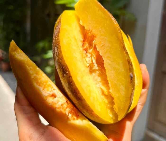 Loại quả mọc bờ rào xưa chín rụng đầy nay thành đặc sản giá 70.000 đ/kg, trồng một lần thu hoạch nhiều năm, tốt cho sức khỏe - 2