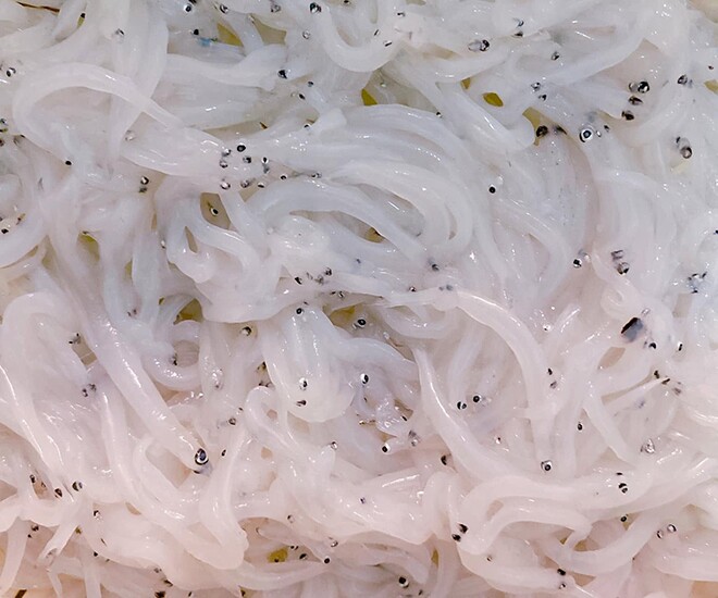 Loài cá nhỏ ở Việt Nam giàu Omega-3 lại ít ngậm hóa chất, bán đầy chợ từ 100.000 đ/kg, tốt cho sức khỏe - 1