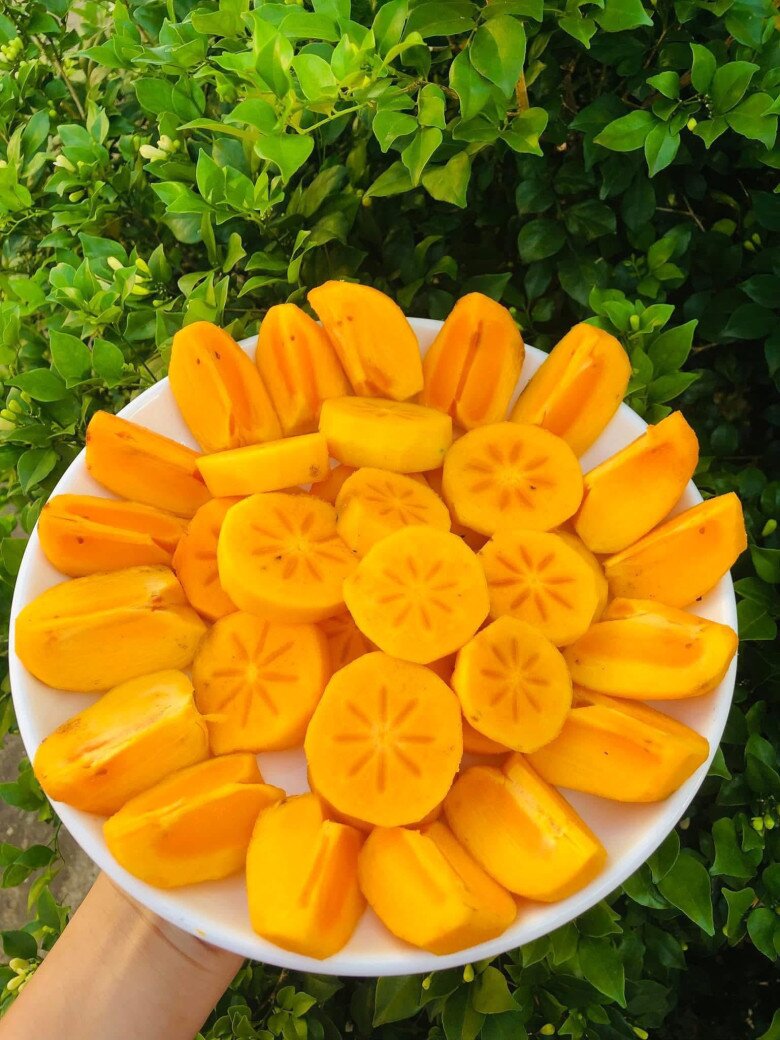 Loại quả mọc bờ rào xưa chín rụng đầy gốc, nay thành đặc sản được ưa chuộng giá 55.000 đ/kg, trồng một lần thu hoạch nhiều năm - 2