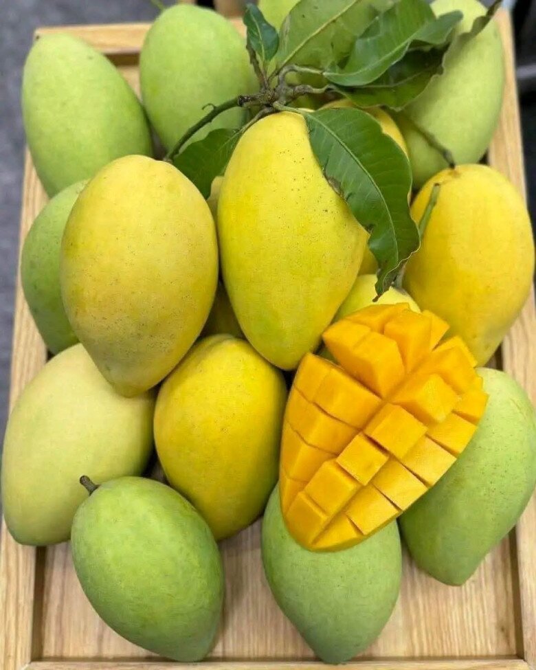 Loại quả lọt top tốt trên thế giới chỉ có ở Đồng Tháp, là đặc sản nổi tiếng giá 80.000 đ/kg, trồng một lần thu hoạch nhiều năm - 3