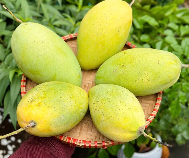 Loại quả lọt top tốt trên thế giới chỉ có ở Đồng Tháp, là đặc sản nổi tiếng giá 80.000 đ/kg, trồng một lần thu hoạch nhiều năm - 1