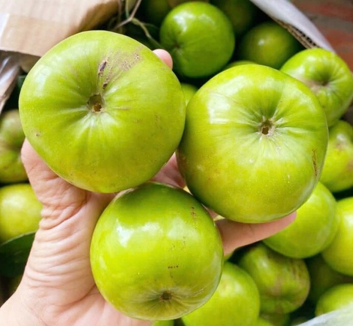 Loại quả lọt top tốt trên thế giới chỉ có ở Khánh Hòa, là đặc sản nổi tiếng giá 90.000 đ/kg, trồng một lần thu hoạch nhiều năm - 2